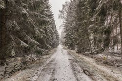 Hasiči odstraňovali popadané stromy, vyprošťovali zapadlá vozidla a zasahovali u řady nehod