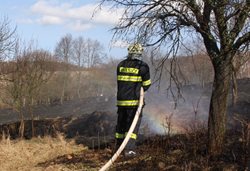 Pozor na vypalování trávy a ohníčky v lesích