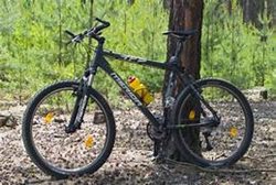 Cyklistka spadla u Brněnské přehrady ze srázu do pětimetrové hloubky.