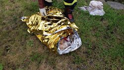 Hasiči opět v akci při záchraně zvířecího života
