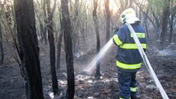 Celé  odpoledne  hasiči  zasahovali u požáru strništ u Hostěradic. Hořelo pole obilí a akátového remízku na ploše 20 ha. 