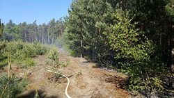 Požár lesa na Přeloučsku likvidovalo 14 jednotek hasičů