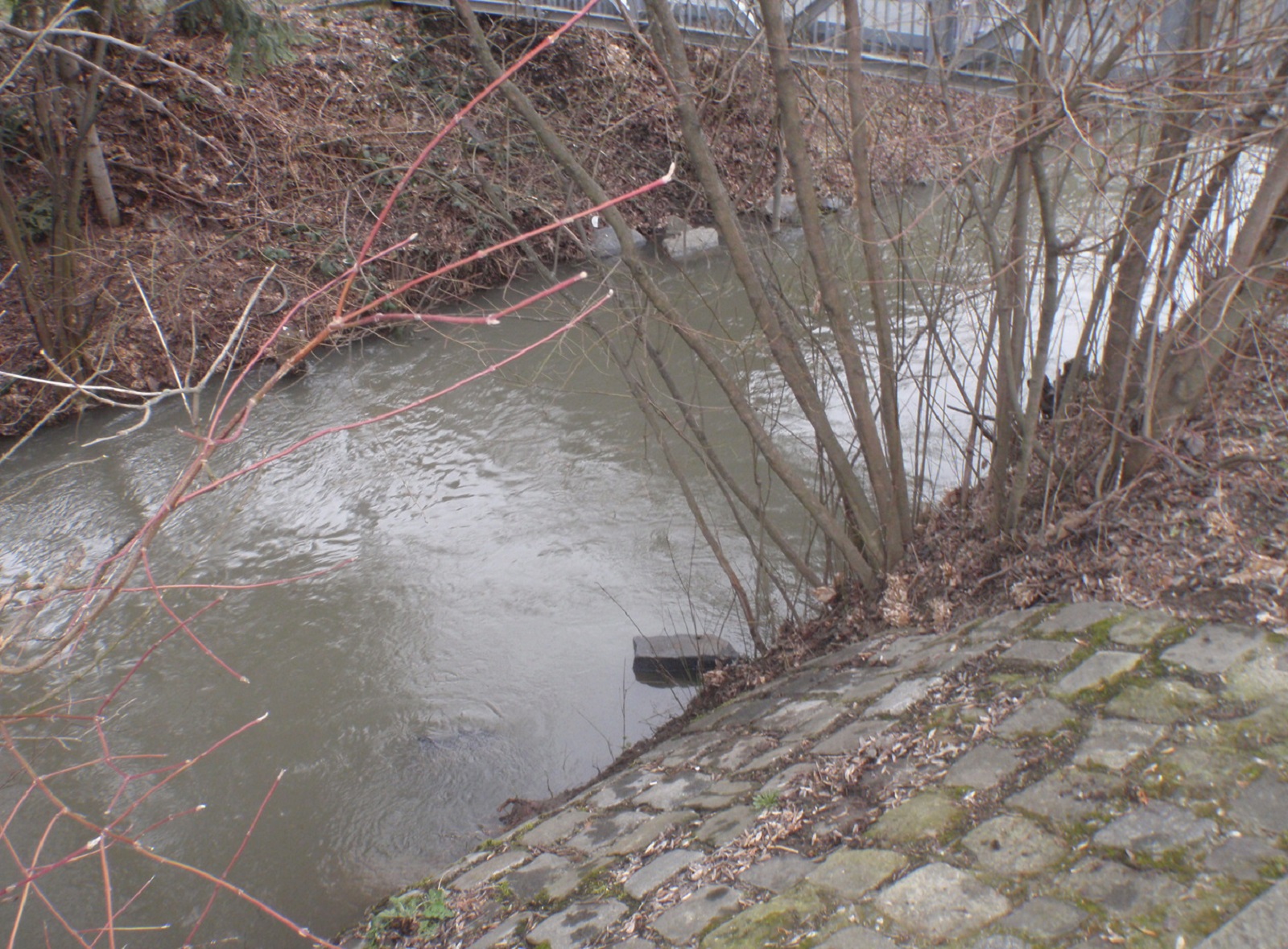 ViewImage-(1).jpg ViewImage-(1).jpg