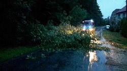 Výjezdy hasičů v Olomouckém kraji kvůli bouřce zasahovaly  v drtivé většině u pádu  stromů či větví na komunikace