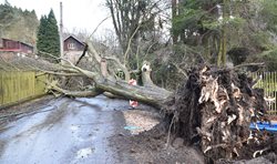 Desítky popadaných stromů a několik dopravních nehod museli odstranit a řešit hasiči v Karlovarském kraji  po náhlém poryvu větru