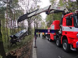 Bizon vyprošťoval passat v příkopu ve stromu na okraji Ostravy-Poruby