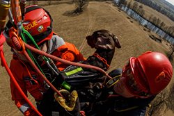 Letečtí záchranáři cvičili transport záchranářského psa v podvěsu
