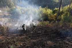 Požár polního porostu v rozsahu jednoho hektaru zaměstnal hasiče na dlouhé tři hodiny