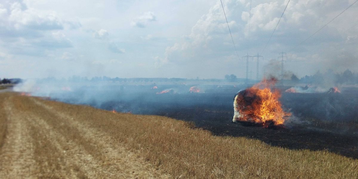 ViewImage-(5).jpg ViewImage-(5).jpg