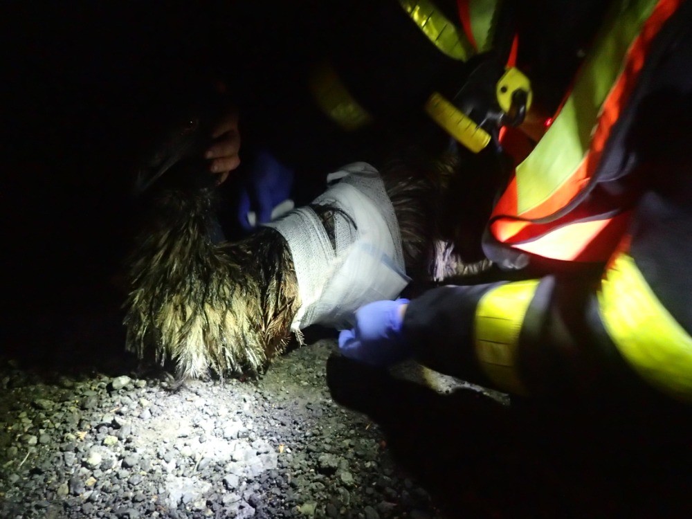 ViewImage-(10).jpg ViewImage-(10).jpg