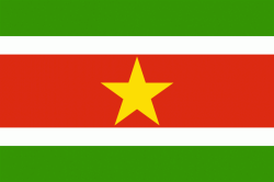 vlajka-surinam-800.gif