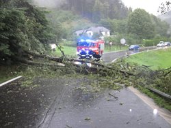 Přívalový déšť na Vsetínsku způsobil popadaní stromů, které  zatarasily silnici