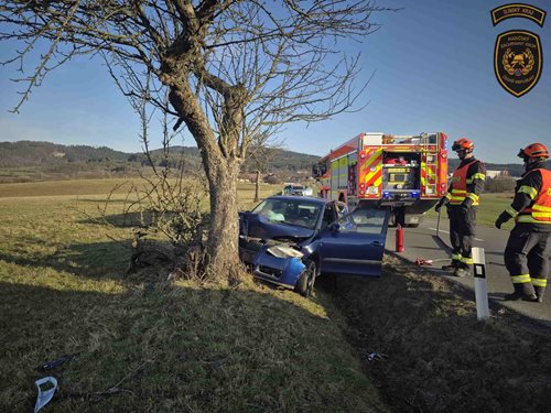 Nehoda skončila nárazem do stromu