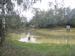 Znečištění rybníka na Kroměřížsku likvidovali od neděle do úterý tři jednotky hasičů. 