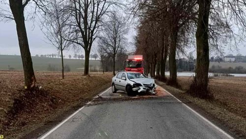 Ranní nehody s lesní zvěří zranily osoby