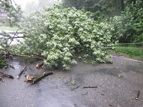 Odstranění následků větru a deště prováděli hasiči v celém Zlínském kraji po celý včerejší den.