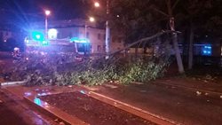 Motorové pily hasičů se v Pardubickém kraji přes noc nezastavily
