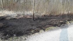 Trávu opravdu vypalovat nesmíte