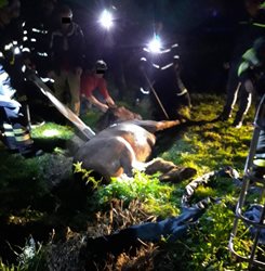 Koně který uvíznul v úzkém příkopu s potokem se podařilo vyprostit  bez větších problémů
