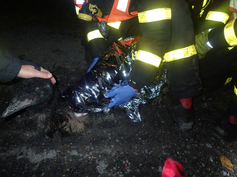 ViewImage-(12).jpg ViewImage-(12).jpg