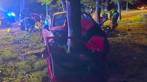 Mladá řidička nezvládla řízení. Auto po nárazu do stromu skončilo zdemolované