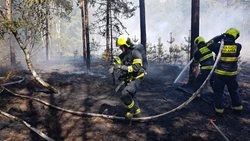 V pražských Klánovicích hořela lesní hrabanka, čtyři jednotky zabránily dalšímu šíření