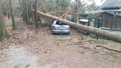 Motorové pily hasičů se nezastavily po celou sobotu