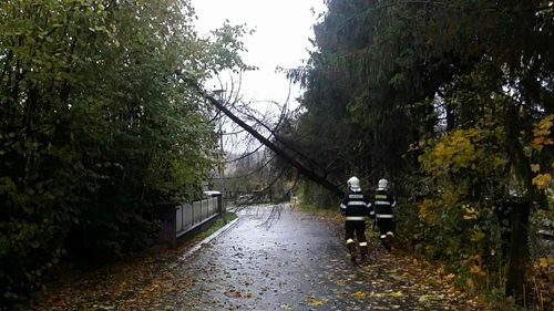 Silný vítr v Olomoucké kraji. 