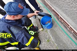Ostravští hasiči zachraňovali užovku červenou