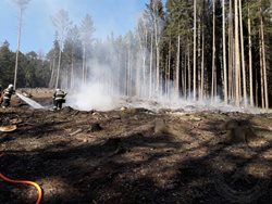 V Jimramově se šířil požár lesního porostu velmi rychle