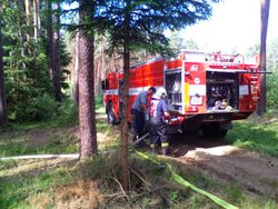 Hasiči na Plzeňsku zasahovali u lesních požárů 