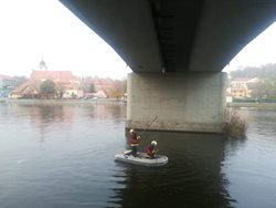 V Týně nad Vltavou hasiči zachránili holuba