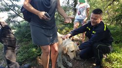 Nelehká záchrana retrívra se šťastným koncem