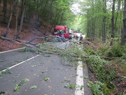 Spadlý strom přes silnici mezi městy Zlín a Vsetín až do příjezdu hasičů byl příčinou  dlouhých kolon nákladních a osobních automobilů v obou směrech 