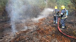 S požárem dvou hektarů lesa bojovalo přes padesát hasičů FOTOGALERIE