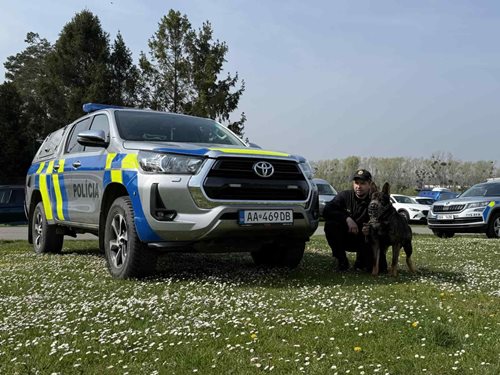 Špičková připravenost psovodů potvrdila vysokou úroveň kynologie