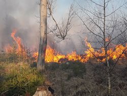 Pálil větvě po těžbě a nechal 18 ohnisek bez dozoru