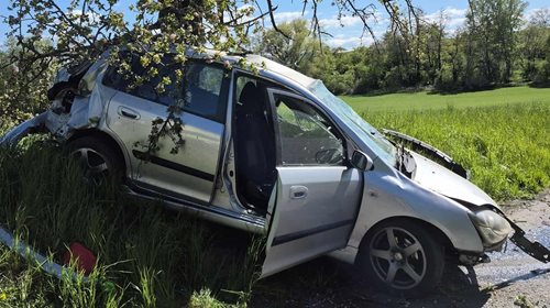 Auto skončilo mimo vozovku po nárazu do stromu