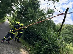 Cyklostezku ve Staré Vsi ohrožovaly tři jasany, jeden z nich zůstal viset na drátech