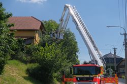 Opatrná likvidace nebezpečného jasanu v Ostravě-Proskovicích