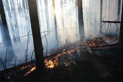 Přehled povinností, rad, pravidel a doporučení podstatných pro bezpečné pálení