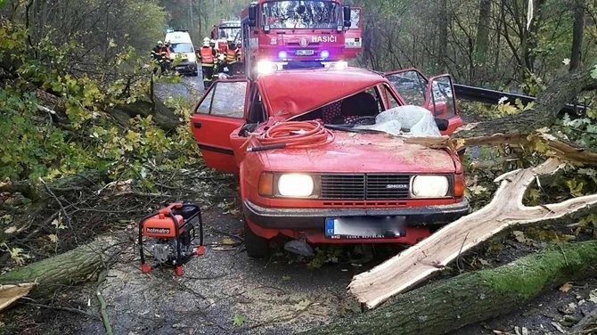 ViewImage-aspx.jpg