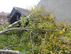 Silný vítr zaměstnal hasiče na Královéhradecku