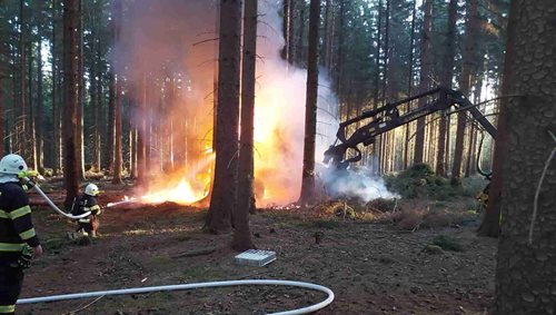 Plameny v terénu ohrozily okolní les a vyžádaly si rychlý zásah