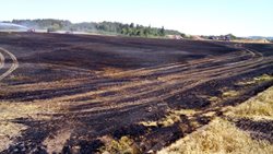 Požár pole u obce Kryry