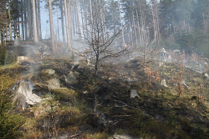 stazeny-soubor-(11).jpg