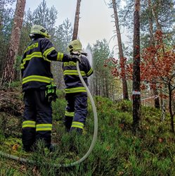 Hasiči cvičili zásah u lesního požáru v lokalitě Starých Splavů
