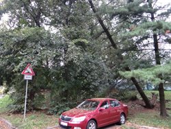 Téměř tři stovky výjezdů hasičů v Moravskoslezském kraji kvůli větru