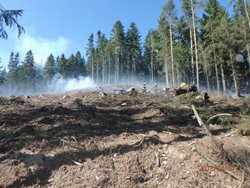 Požár lesního porostu v Plzeňském kraji
