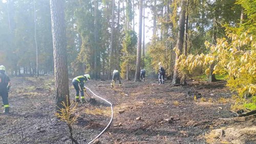 Sucho a vítr zaměstnávají hasiče, požáry přibývají